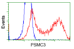 PSMC3 Antibody - HEK293T cells transfected with either pCMV6-ENTRY PSMC3 (Red) or empty vector control plasmid (Blue) were immunostained with anti-PSMC3 mouse monoclonal, and then analyzed by flow cytometry.