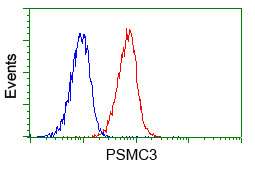 PSMC3 Antibody - Flow cytometric analysis of Jurkat cells, using anti-PSMC3 antibody, (Red) compared to a nonspecific negative control antibody (Blue).