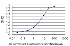 PSMC4 Antibody - Detection limit for recombinant GST tagged PSMC4 is approximately 0.03 ng/ml as a capture antibody.