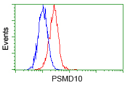 PSMD10 / Gankyrin Antibody - Flow cytometry of HeLa cells, using anti-PSMD10 antibody, (Red) compared to a nonspecific negative control antibody (Blue).