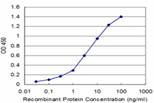 PSMD2 Antibody - Detection limit for recombinant GST tagged PSMD2 is approximately 0.1 ng/ml as a capture antibody.