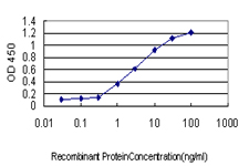 PSMD5 Antibody - Detection limit for recombinant GST tagged PSMD5 is approximately 0.1 ng/ml as a capture antibody.