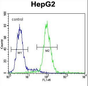 PSMD7 / MOV34 Antibody - PSMD7 Antibody flow cytometry of HepG2 cells (right histogram) compared to a negative control cell (left histogram). FITC-conjugated goat-anti-rabbit secondary antibodies were used for the analysis.