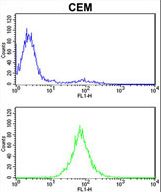 PSMD7 / MOV34 Antibody - PSMD7 Antibody flow cytometry of CEM cells (bottom histogram) compared to a negative control cell (top histogram). FITC-conjugated goat-anti-rabbit secondary antibodies were used for the analysis.