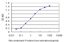 PSMD9 / 26S Proteasome Antibody - Detection limit for recombinant GST tagged PSMD9 is approximately 0.03 ng/ml as a capture antibody.