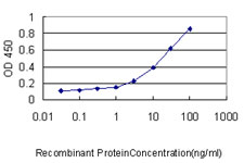 PSME2 Antibody - Detection limit for recombinant GST tagged PSME2 is approximately 0.3 ng/ml as a capture antibody.