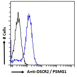PSMG1 Antibody - Flow cytometric analysis of paraformaldehyde fixed Jurkat cells (blue line), permeabilized with 0.5% Triton. Primary incubation 1hr (10ug/ml) followed by Alexa Fluor 488 secondary antibody (2ug/ml). IgG control: Unimmunized goat IgG (black line) followed by Alexa Fluor 488 secondary antibody.