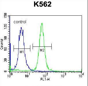 PSORS1C1 Antibody - PSORS1C1 Antibody flow cytometry of K562 cells (right histogram) compared to a negative control cell (left histogram). FITC-conjugated donkey-anti-rabbit secondary antibodies were used for the analysis.
