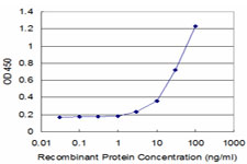 PTGES3 / p23 Antibody - Detection limit for recombinant GST tagged PTGES3 is approximately 3 ng/ml as a capture antibody.