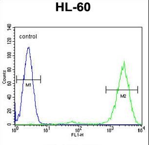 PTMA / Prothymosin Alpha Antibody - PTMA Antibody flow cytometry of HL-60 cells (right histogram) compared to a negative control cell (left histogram). FITC-conjugated goat-anti-rabbit secondary antibodies were used for the analysis.