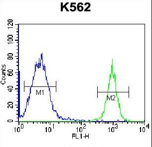 PTMS / Parathymosin Antibody - PTMS Antibody flow cytometry of K562 cells (right histogram) compared to a negative control cell (left histogram). FITC-conjugated goat-anti-rabbit secondary antibodies were used for the analysis.