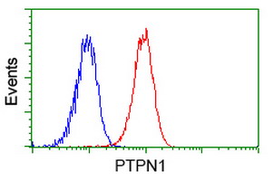 PTP1B Antibody - Flow cytometry of Jurkat cells, using anti-PTPN1 antibody (Red), compared to a nonspecific negative control antibody (Blue).