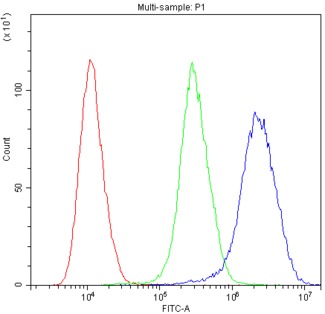 PTP4A2 / PRL-2 Antibody - Flow Cytometry analysis of U937 cells using anti-PTP4A2 antibody. Overlay histogram showing U937 cells stained with anti-PTP4A2 antibody (Blue line). The cells were blocked with 10% normal goat serum. And then incubated with rabbit anti-PTP4A2 Antibody (1µg/10E6 cells) for 30 min at 20°C. DyLight®488 conjugated goat anti-rabbit IgG (5-10µg/10E6 cells) was used as secondary antibody for 30 minutes at 20°C. Isotype control antibody (Green line) was rabbit IgG (1µg/10E6 cells) used under the same conditions. Unlabelled sample (Red line) was also used as a control.
