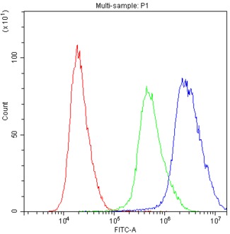 PTP4A2 / PRL-2 Antibody - Flow Cytometry analysis of PC-3 cells using anti-PTP4A2 antibody. Overlay histogram showing PC-3 cells stained with anti-PTP4A2 antibody (Blue line). The cells were blocked with 10% normal goat serum. And then incubated with rabbit anti-PTP4A2 Antibody (1µg/10E6 cells) for 30 min at 20°C. DyLight®488 conjugated goat anti-rabbit IgG (5-10µg/10E6 cells) was used as secondary antibody for 30 minutes at 20°C. Isotype control antibody (Green line) was rabbit IgG (1µg/10E6 cells) used under the same conditions. Unlabelled sample (Red line) was also used as a control.