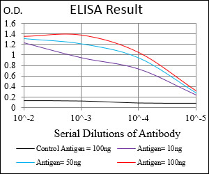 PTP4A2 / PRL-2 Antibody - Red: Control Antigen (100ng); Purple: Antigen (10ng); Green: Antigen (50ng); Blue: Antigen (100ng);