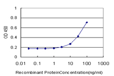 PTPMEG / PTPN4 Antibody - Detection limit for recombinant GST tagged PTPN4 is approximately 3 ng/ml as a capture antibody.