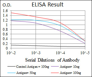 PTPN11 / SHP-2 / NS1 Antibody - Red: Control Antigen (100ng); Purple: Antigen (10ng); Green: Antigen (50ng); Blue: Antigen (100ng);