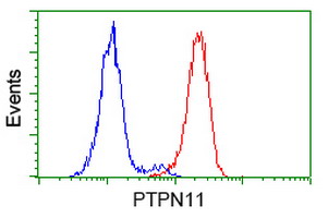 PTPN11 / SHP-2 / NS1 Antibody - Flow cytometry of HeLa cells, using anti-PTPN11 antibody (Red), compared to a nonspecific negative control antibody (Blue).