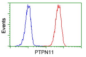 PTPN11 / SHP-2 / NS1 Antibody - Flow cytometry of Jurkat cells, using anti-PTPN11 antibody (Red), compared to a nonspecific negative control antibody (Blue).