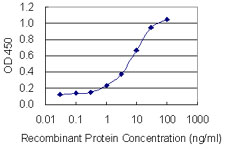 PTPN9 / MEG2 Antibody - Detection limit for recombinant GST tagged PTPN9 is 0.3 ng/ml as a capture antibody.