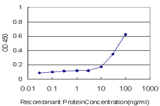 PTPRE / PTP Epsilon Antibody - Detection limit for recombinant GST tagged PTPRE is approximately 10 ng/ml as a capture antibody.