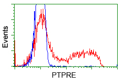 PTPRE / PTP Epsilon Antibody - HEK293T cells transfected with either pCMV6-ENTRY PTPRE (Red) or empty vector control plasmid (Blue) were immunostained with anti-PTPRE mouse monoclonal, and then analyzed by flow cytometry.