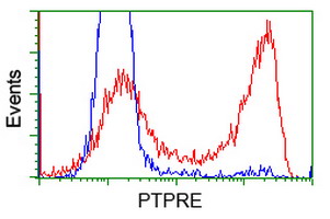 PTPRE / PTP Epsilon Antibody - HEK293T cells transfected with either overexpress plasmid (Red) or empty vector control plasmid (Blue) were immunostained by anti-PTPRE antibody, and then analyzed by flow cytometry.