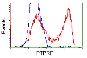 PTPRE / PTP Epsilon Antibody - HEK293T cells transfected with either overexpress plasmid (Red) or empty vector control plasmid (Blue) were immunostained by anti-PTPRE antibody, and then analyzed by flow cytometry.
