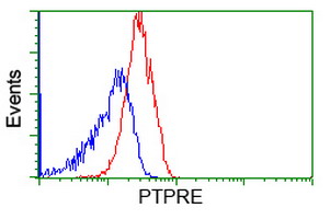 PTPRE / PTP Epsilon Antibody - Flow cytometry of Jurkat cells, using anti-PTPRE antibody, (Red), compared to a nonspecific negative control antibody, (Blue).