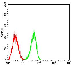 PTPRJ / CD148 Antibody - Flow cytometric analysis of HL-60 cells using CD148 mouse mAb (green) and negative control (red).