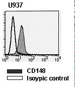 PTPRJ / CD148 Antibody