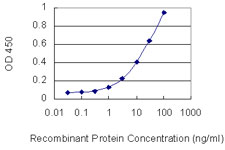 PTPRO Antibody - Detection limit for recombinant GST tagged PTPRO is 0.3 ng/ml as a capture antibody.