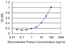 PTTG1IP / PBF Antibody - Detection limit for recombinant GST tagged PTTG1IP is 0.3 ng/ml as a capture antibody.
