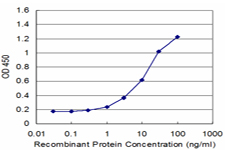PURA / Pur-Alpha Antibody - Detection limit for recombinant GST tagged PURA is approximately 1 ng/ml as a capture antibody.