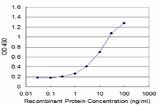 PURA / Pur-Alpha Antibody - Detection limit for recombinant GST tagged PURA is approximately 0.3 ng/ml as a capture antibody.