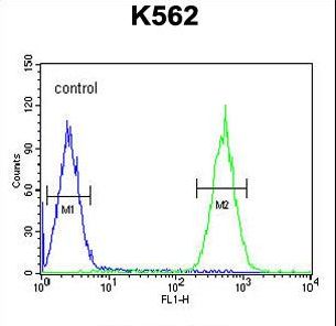 PURG Antibody - PURG Antibody flow cytometry of K562 cells (right histogram) compared to a negative control cell (left histogram). FITC-conjugated goat-anti-rabbit secondary antibodies were used for the analysis.