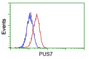 PUS7 Antibody - Flow cytometric Analysis of Jurkat cells, using anti-PUS7 antibody, (Red), compared to a nonspecific negative control antibody, (Blue).