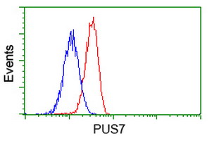 PUS7 Antibody - Flow cytometry of Jurkat cells, using anti-PUS7 antibody, (Red), compared to a nonspecific negative control antibody, (Blue).