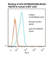 PVR / CD155 Antibody - Flow cytometry of PVR / CD155 antibody This image was taken for the unconjugated form of this product. Other forms have not been tested.