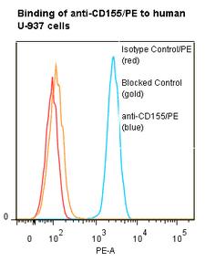 PVR / CD155 Antibody