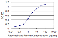 PXDN / MG50 Antibody - Detection limit for recombinant GST tagged PXDN is 0.03 ng/ml as a capture antibody.