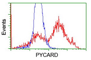 PYCARD / ASC / TMS1 Antibody - HEK293T cells transfected with either overexpress plasmid (Red) or empty vector control plasmid (Blue) were immunostained by anti-PYCARD antibody, and then analyzed by flow cytometry.