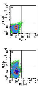 Qa-1b Antibody - Flow cytometry of Qa-1b in unstimulated Balb/c mouse splenocytes using A) isotype control and B) MonoclonalAntibody to Qa-1b (with an anti-mouse IgG1-PE secondary) at 0.25 ug/10^6 cells. A shift is seen in only a small percentage of cells.