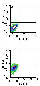 Qa-1b Antibody - Flow cytometry of Qa-1b in 72 hour ConA-stimulated Balb/c mouse splenocytes using A) isotype control and B) MonoclonalAntibody to Qa-1b (with an anti-mouse IgG1-PE secondary) at 0.25 ug/10^6 cells. A shift is seen in the entire population of cells.
