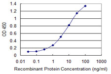 QPCT / QC Antibody - Detection limit for recombinant GST tagged QPCT is 0.1 ng/ml as a capture antibody.
