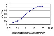 QPRT Antibody - Detection limit for recombinant GST tagged QPRT is approximately 0.03 ng/ml as a capture antibody.