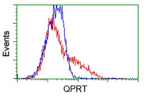QPRT Antibody - HEK293T cells transfected with either overexpress plasmid (Red) or empty vector control plasmid (Blue) were immunostained by anti-QPRT antibody, and then analyzed by flow cytometry.