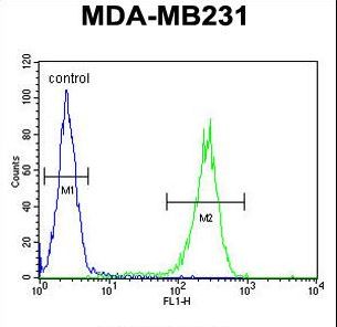 RAB11FIP2 / Rab11-FIP2 Antibody - RAB11FIP2 Antibody flow cytometry of MDA-MB231 cells (right histogram) compared to a negative control cell (left histogram). FITC-conjugated goat-anti-rabbit secondary antibodies were used for the analysis.