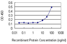 RAB13 Antibody - Detection limit for recombinant GST tagged RAB13 is 3 ng/ml as a capture antibody.