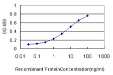 RAB21 Antibody - Detection limit for recombinant GST tagged RAB21 is approximately 0.1 ng/ml as a capture antibody.